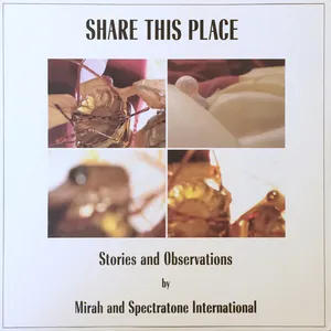 Share this place : stories and observations